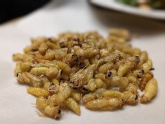 香酥蜂蛹-滇野云南野生菌餐厅(陕西南路店)