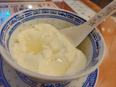 招牌姜撞奶-捷信牛奶甜品世家(五道口店)