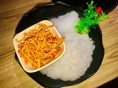 野生虫草花-探窝·竹笙椰子鸡(杨箕店)