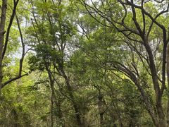 -燕晗山郊野公园