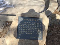 -东北大学(南湖校区)