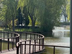 -石家庄市植物园