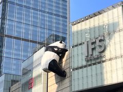 -天府掌柜(九眼桥店)