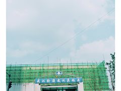 -武汉关码头(轮渡站)