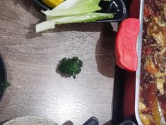 -新辣道鱼火锅(龙旗广场店)