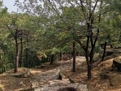 -北京鹫峰国家森林公园