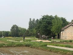 -北坞公园
