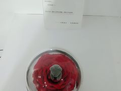 -成都失恋馆