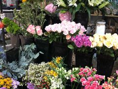 -ChaKo Flora ·茶子花艺 (市北店)