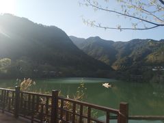 -芳草地度假酒店·野炉中餐厅