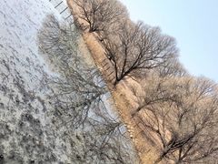 -北京麋鹿生态实验中心