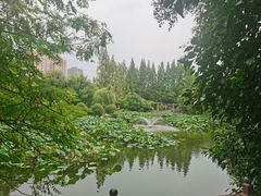 -郑和公园