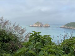 -枸杞岛