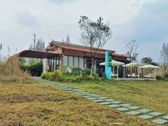 -桤木河湿地公园