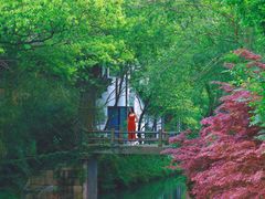 -西溪国家湿地公园