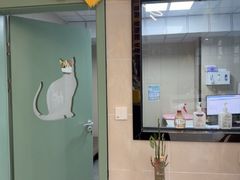 -半岛宠物医院24小时·内窥镜·牙科·碎石中心(府城大道店)