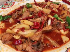 -巴依老爷新疆美食(清华东门店)