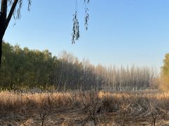 -东郊湿地公园