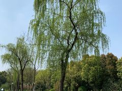 -蜀冈西峰生态公园