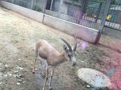 -辛玛王国游乐园