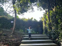 -黄埔油麻山森林公园