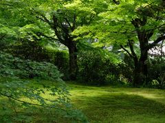 -三千院
