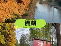 -溱湖国家湿地公园