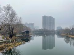 -洋湖国家湿地公园