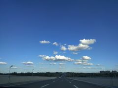 -莲花山花海