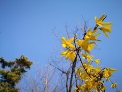 -孔乙己(后海店)