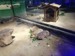 -荆州中山公园动物园