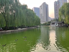 -团结湖公园