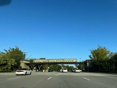 -奥兰多迪士尼动物王国乐园