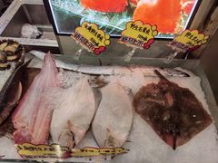 -渔娘渔家丹东海鲜(东直门店)