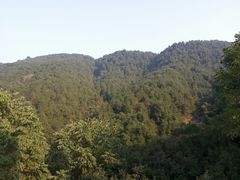 -铁山坪森林公园