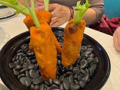 -丁老爷子苏香圆