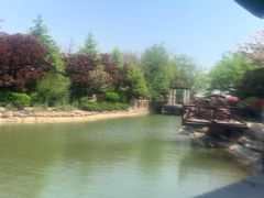 -芭东小镇温泉