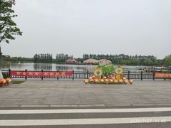 -上海长兴岛郊野公园