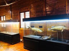 -南京金牛湖风景区