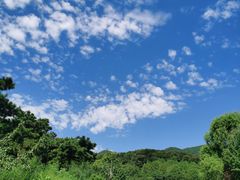 -北京西山国家森林公园