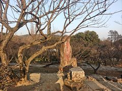 -无锡梅园公园