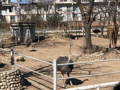 -西安秦岭野生动物园