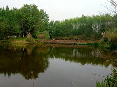 -桤木河湿地公园