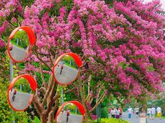 -杭州城北体育公园