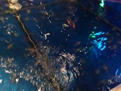 -钳真多钓虾馆·小龙虾海鲜烧烤(九六广场店)