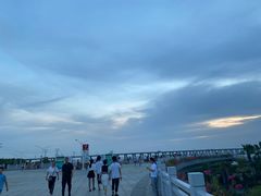 -宝安西湾红树林湿地公园