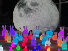 -巨鹏飞梦幻海岸
