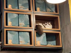 -咖法森林·咖啡  酒吧(天河店)