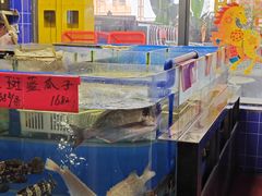 -明本湛江鸡•海鲜小厨(陈家祠店)