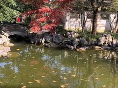 -秋霞圃